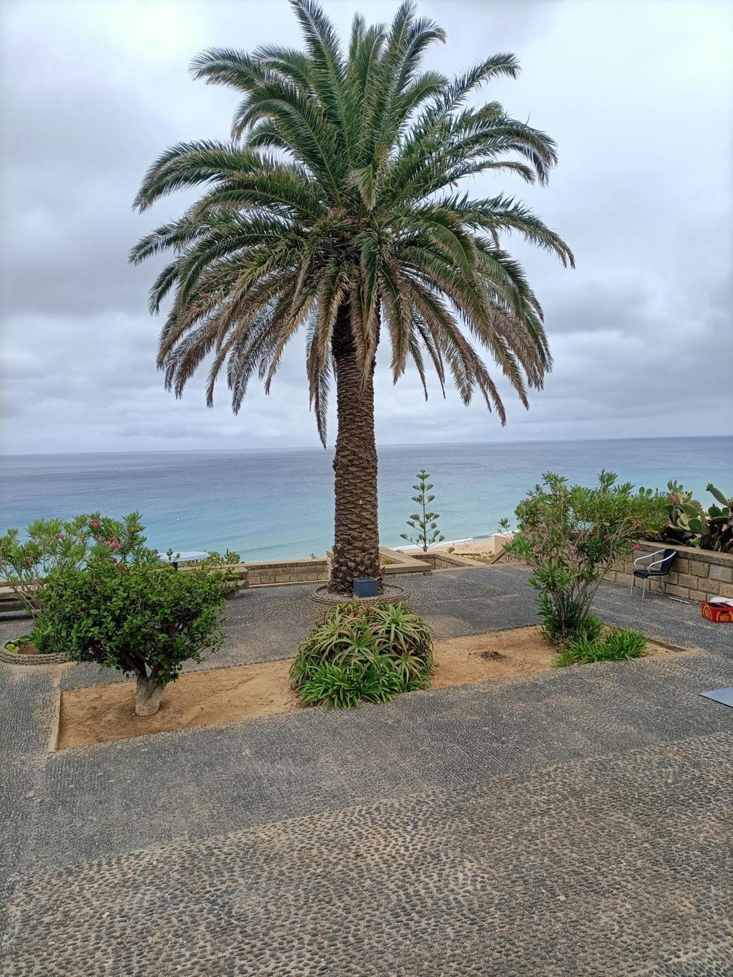 Golden House * Porto Santo